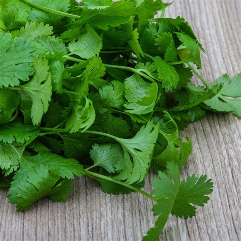 AROMATES