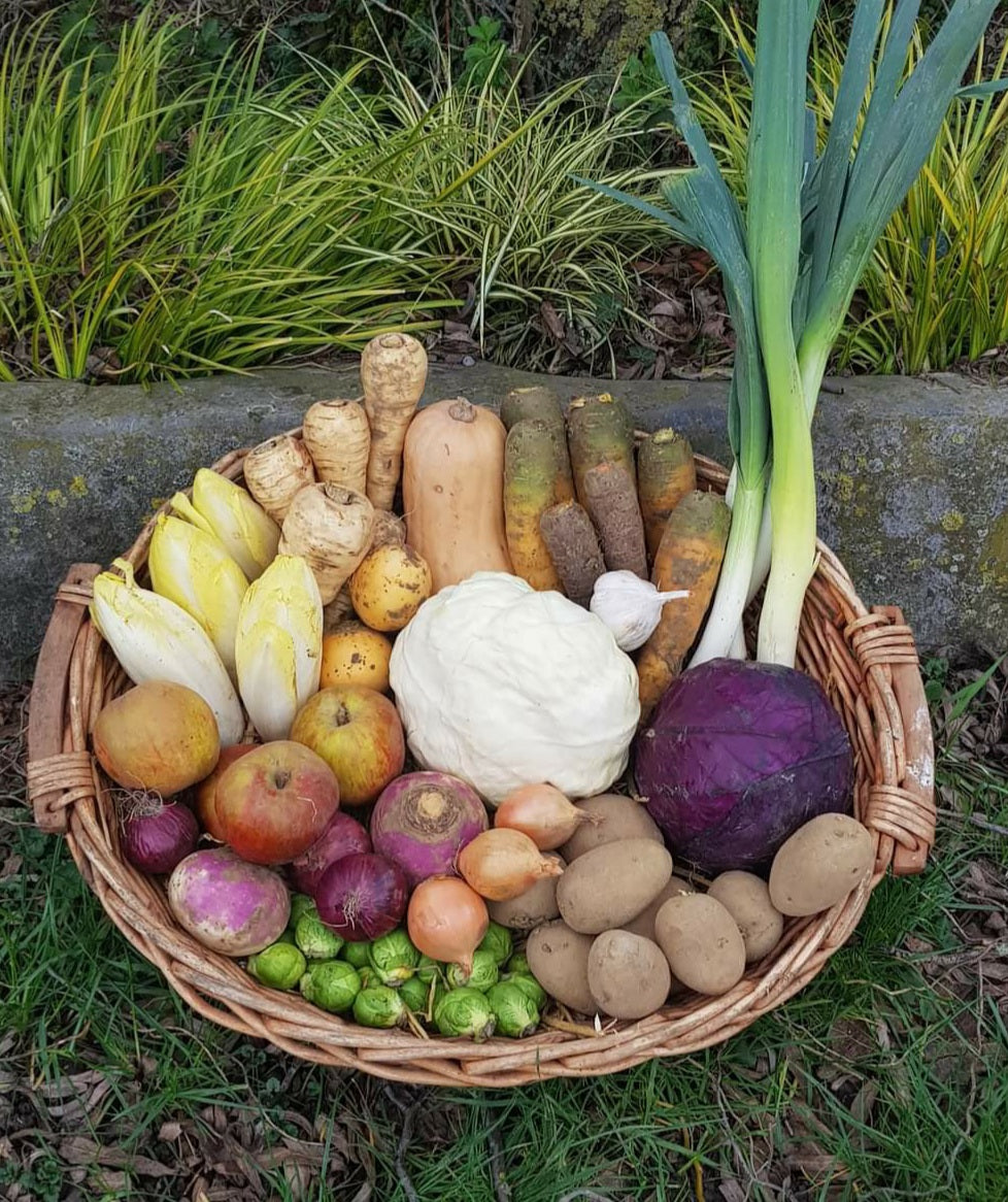 LE PANIER MARAÎCHER